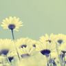 辣酱鸡爪窍门